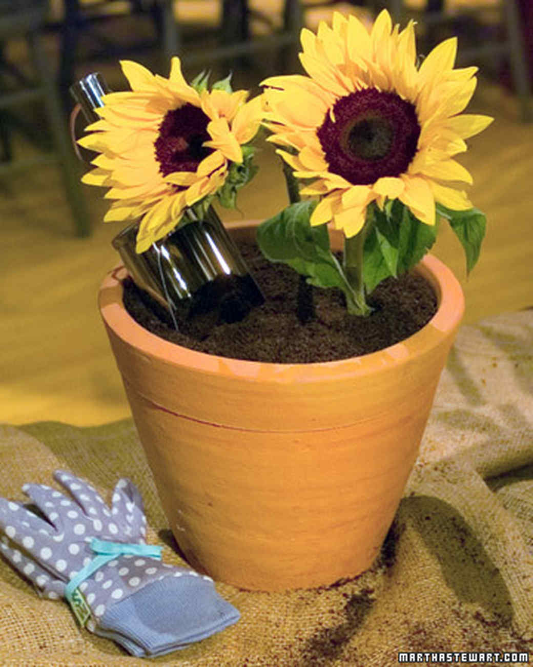 Jane s Dirt Cake Recipe Martha Stewart
