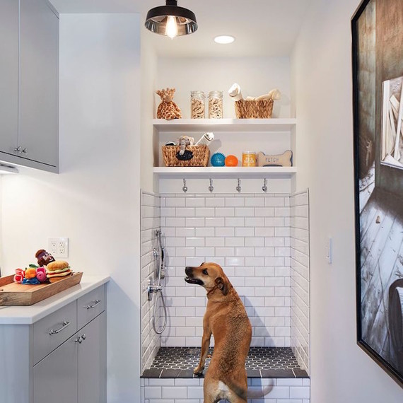 mud-room-1116.jpg (skyword:362791)