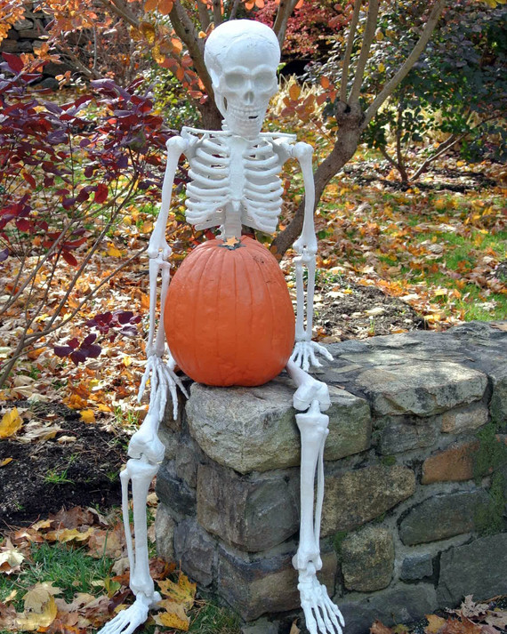 halloween-prep.jpg