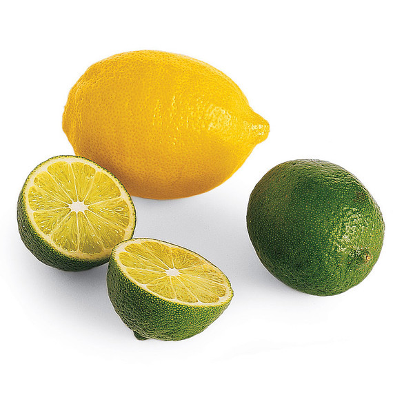 msl_jun06_citrus.jpg