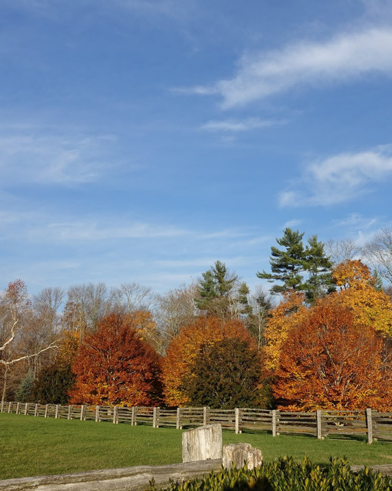 fall-foliage-farm.jpg