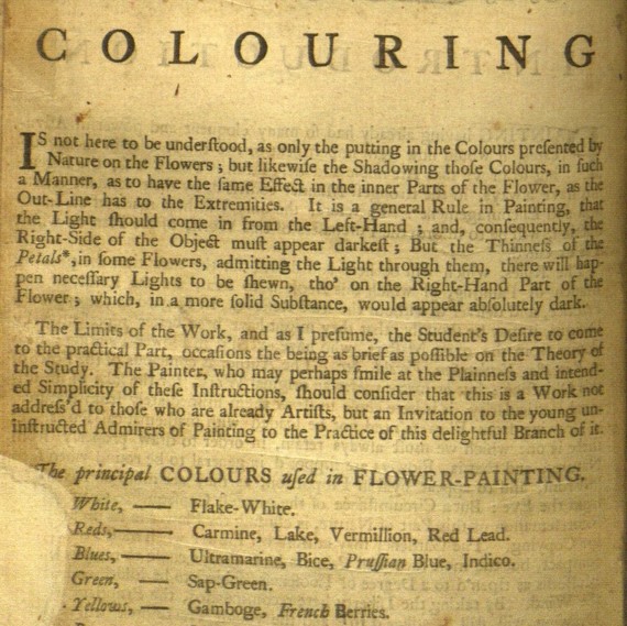 The Florist Coloring Book The Florist Coloring Book