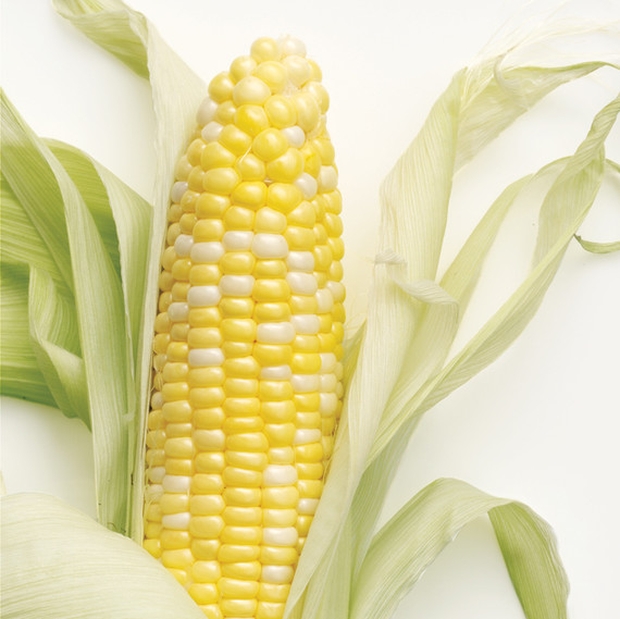 md102623_0907_corn.jpg