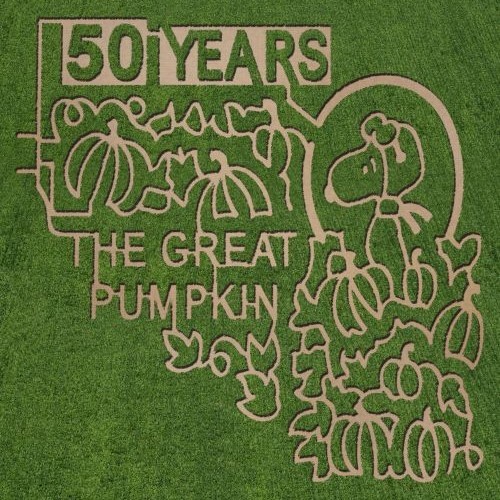 Visit one of these "Peanuts" inspired corn mazes at a farm near you. Visit one of these "Peanuts" inspired corn mazes at a farm near you.