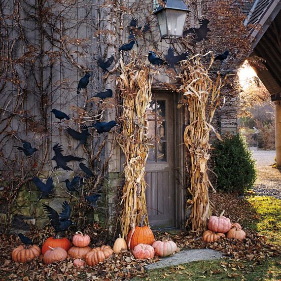 crows-123-d111767-r.jpg