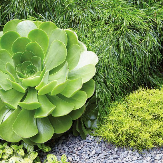 Grub Garden Serene outdoor space Grub Garden Serene outdoor space