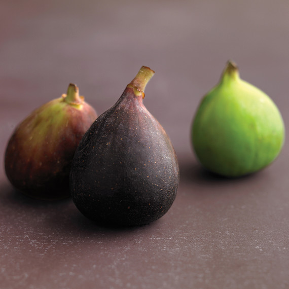 med103596_1008_figs.jpg