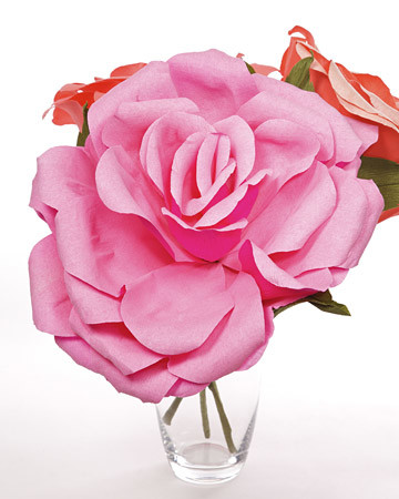 4093_020409_largeflower.jpg