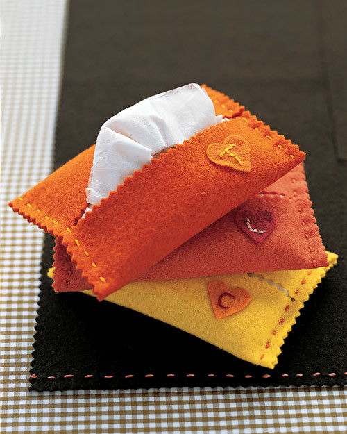mslkids_fall2005_tissue.jpg