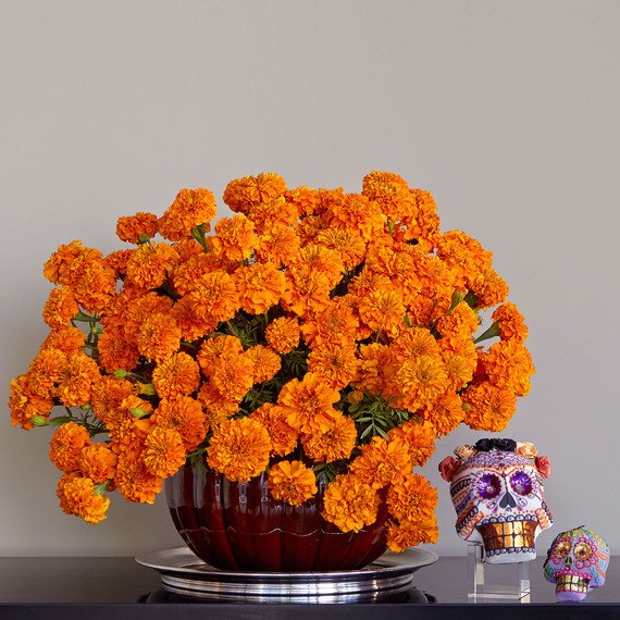 day-of-dead-0191-d111616.jpg