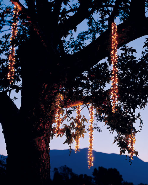 la103058_1207_treelights.jpg