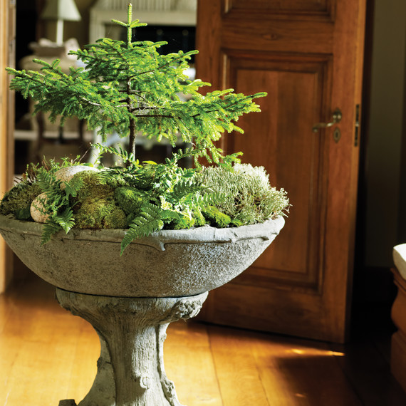 moss-garden-0811mld106442.jpg