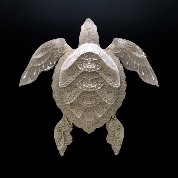 turtle papercut turtle papercut