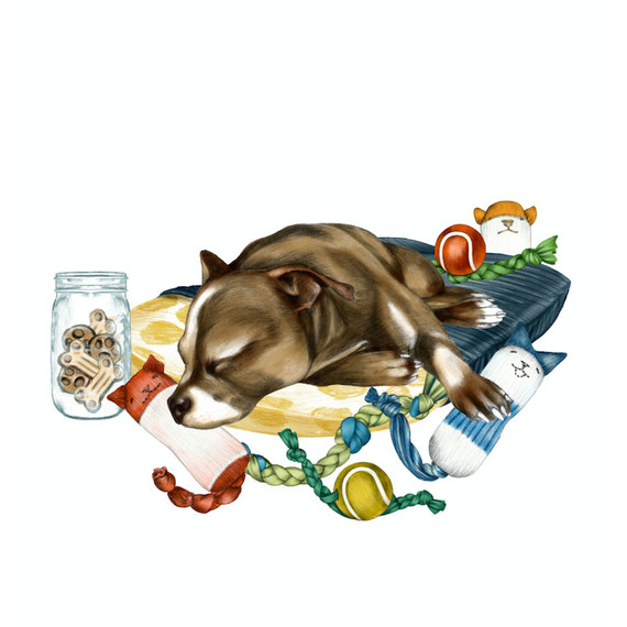 do-unto-animals-illustration.jpg