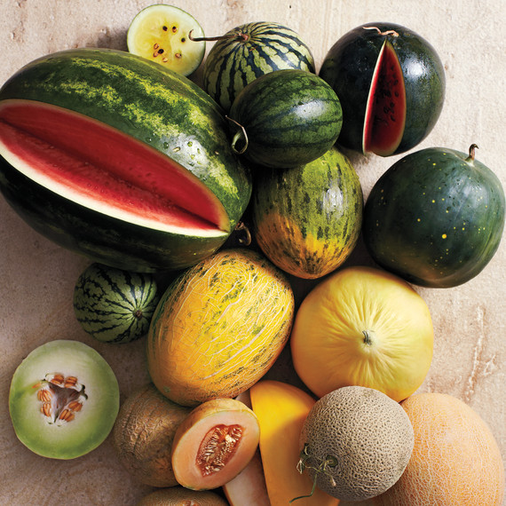 melon-glossary-ld110630-0154.jpg