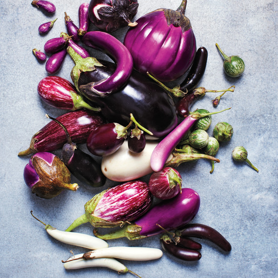eggplant-glossary-077-d110486.jpg
