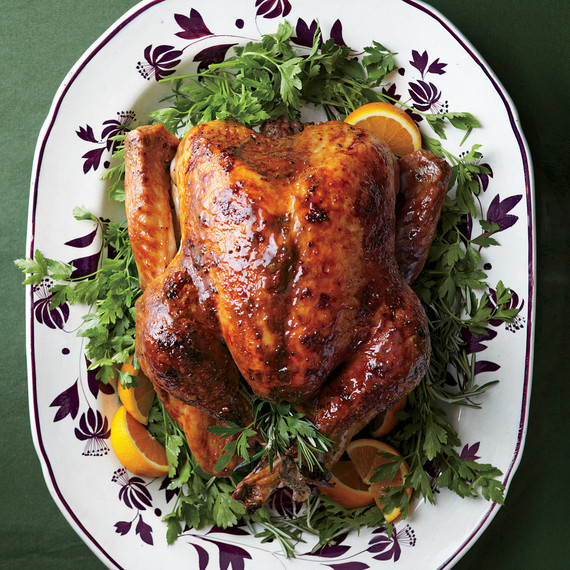 thanksgiving-turkey-med107616.jpg