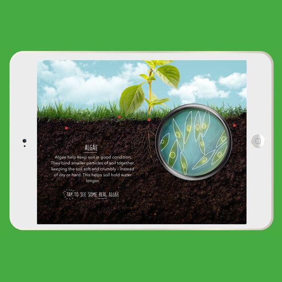 whole kids app soil whole kids app soil