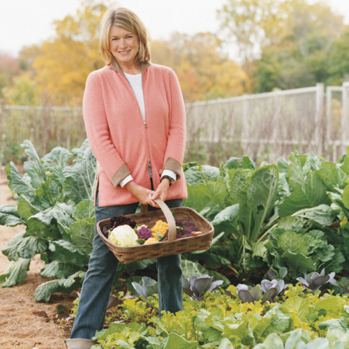 msl1_0410_martha_basket_garden.jpg