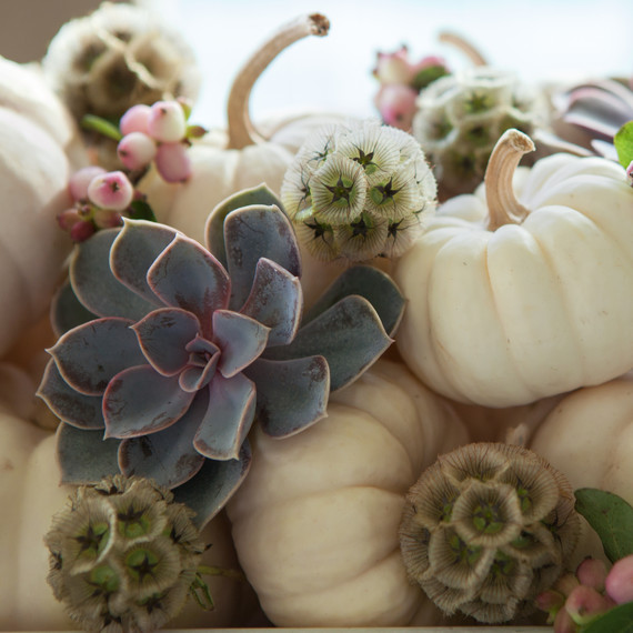 grown-up-halloween-d110662-1510.jpg