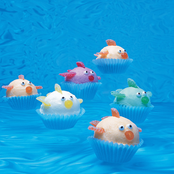 school of sherbet fish school of sherbet fish