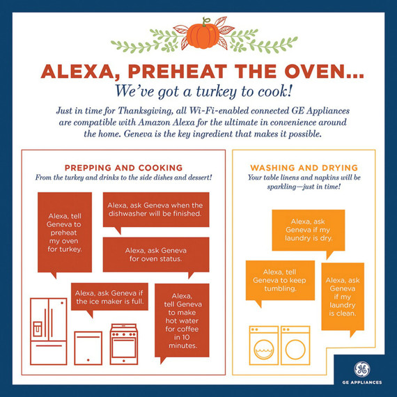 alexa-thanksgiving-commands-nov16.jpg (skyword:367456)