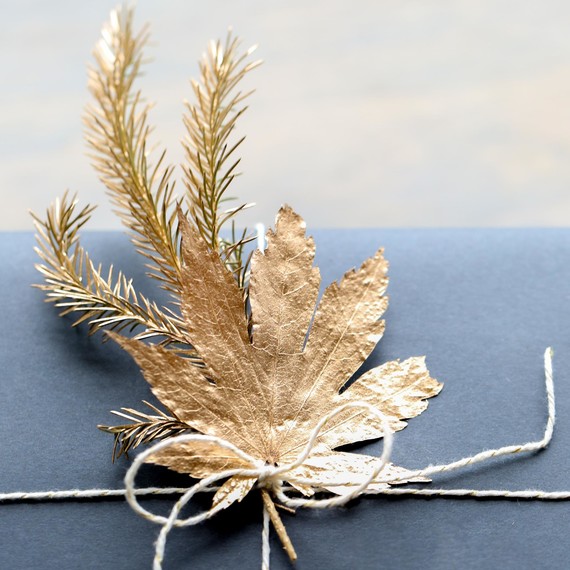 Tied Branches