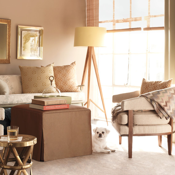 dog-livingroom-ld106773livingrm-233.jpg