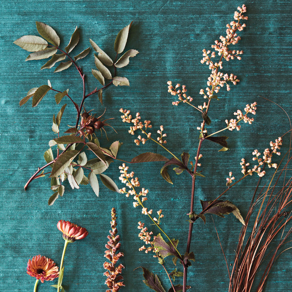 brown-plants-nursery-ff-1190-d109224.jpg