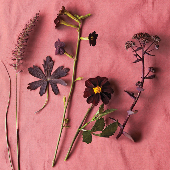 brown-plants-nursery-ff-1250-d109224.jpg