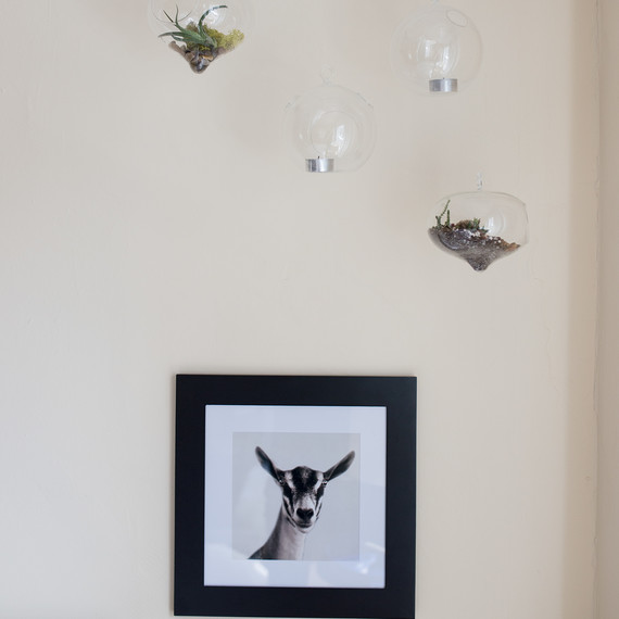 april-27-2016_oakland_travissaville_tinyhome_6380.jpg (skyword:284188)