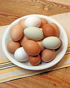 Basic Poached Eggs_image