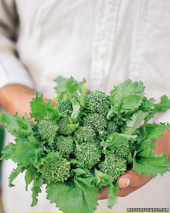 Broccoli Growing Guide | Martha Stewart