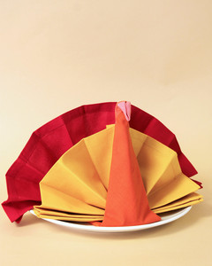 Turkey Napkin Fold Martha Stewart