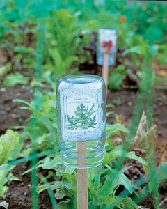 Picture In Bottles | Make Your Own Garden Markers For Cheap With These Ideas 