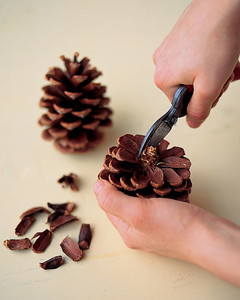 Pinecone Picture Frame Ornaments Martha