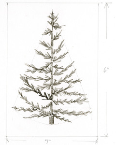 Featured image of post Pencil Xmas Tree Drawing