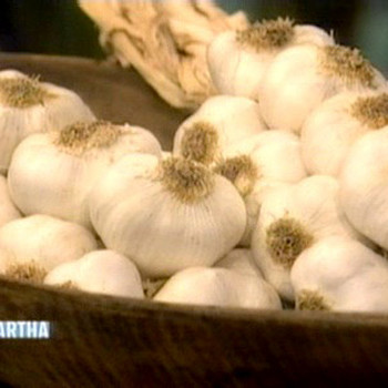 Garlic Types and How To Plant Them 