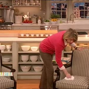 Video Good Thing How To Clean Pet Hair Off Furniture Martha