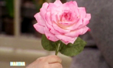 Video Paper Roses Pt 2 Martha Stewart