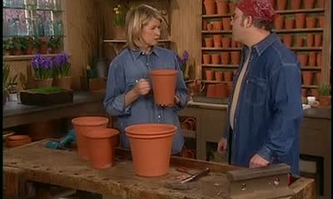 Video How To Naturally Age Terra Cotta Pots Martha Stewart