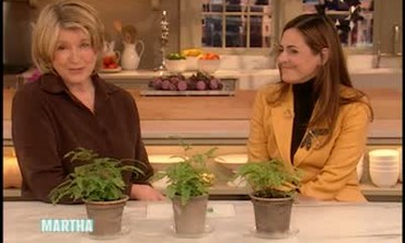 Video Banking Solutions With Jane Heller Martha Stewart
