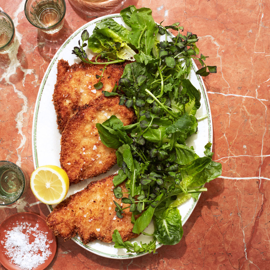 Shira Bocar Martha Stewart