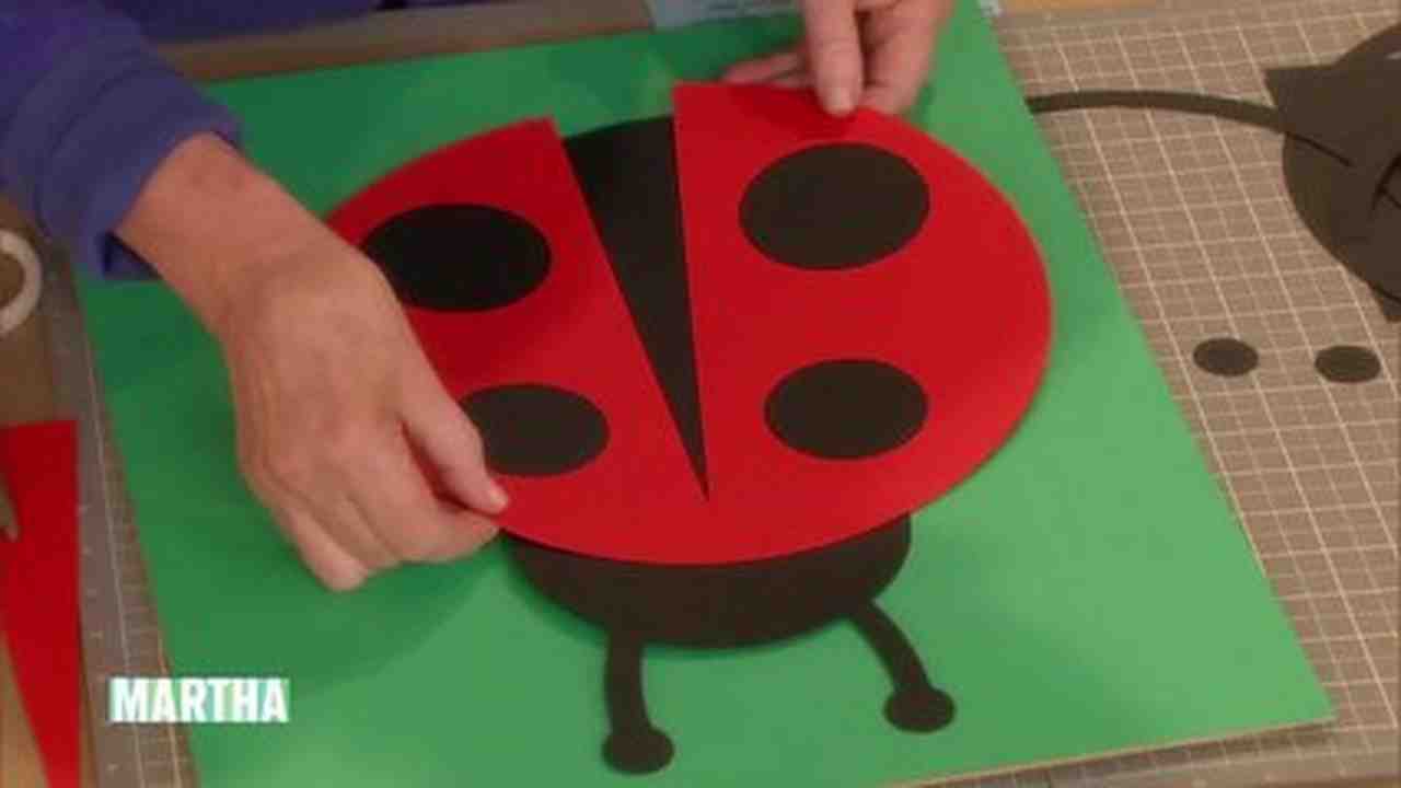 Video Ladybug Artwork Video Ladybug Artwork