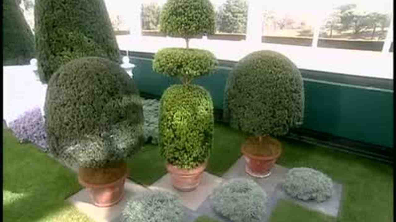 Video Topiary Plants Part 1 Martha