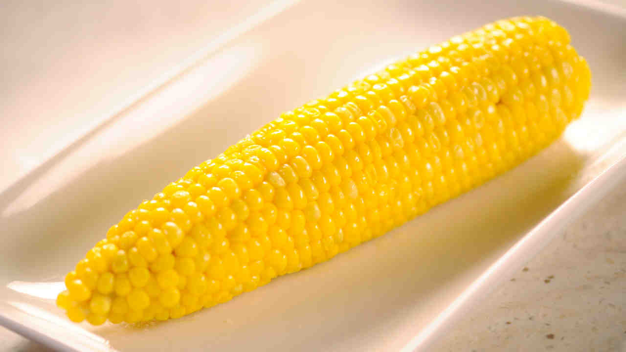 jagung