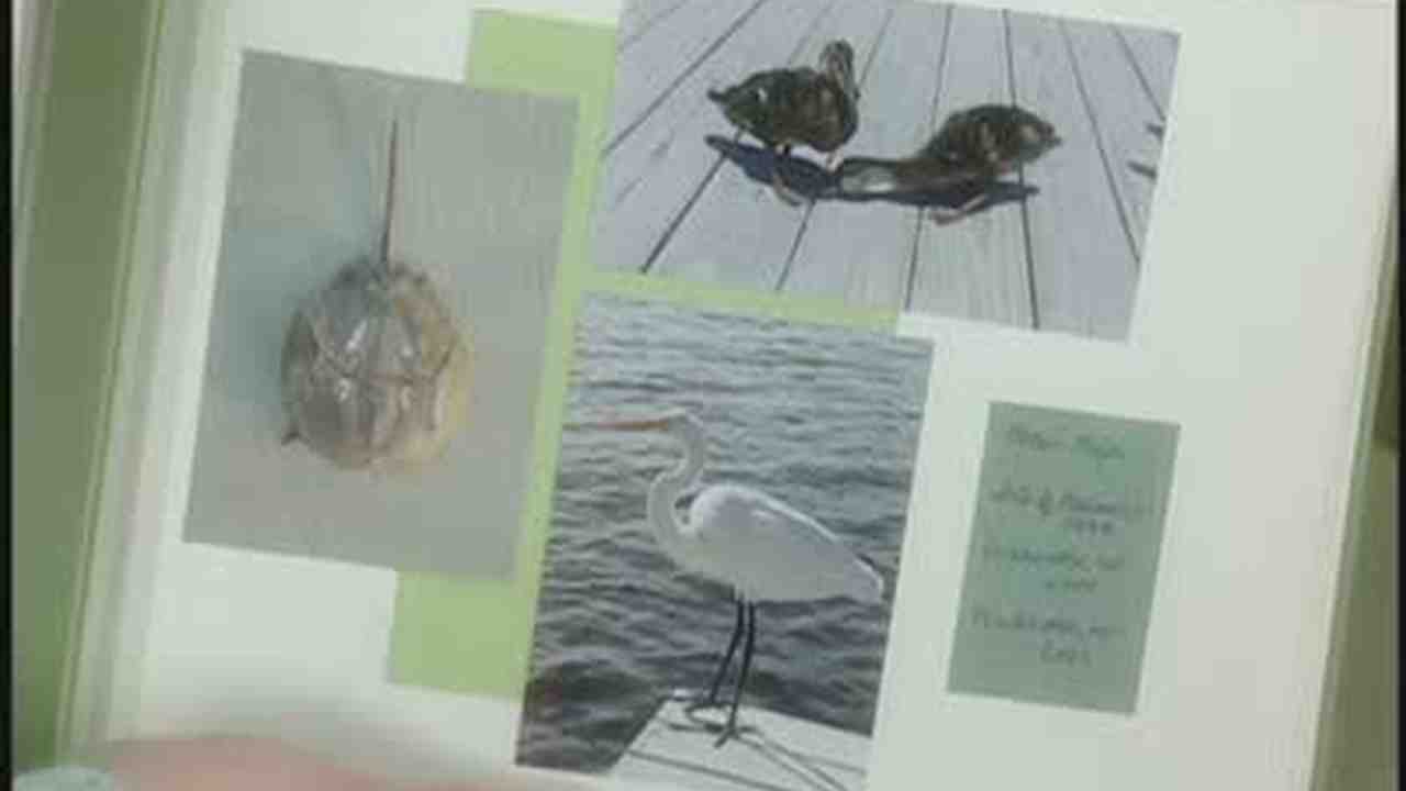 video scrapbook