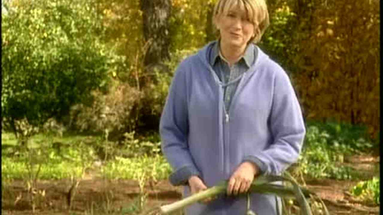 Video San Go Citrus Nursery Martha Now Playing