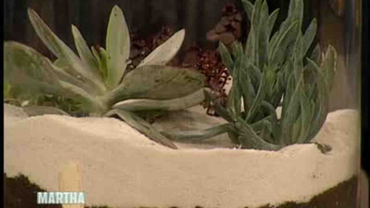 Video How To Make An Indoor Garden Part 2 Martha