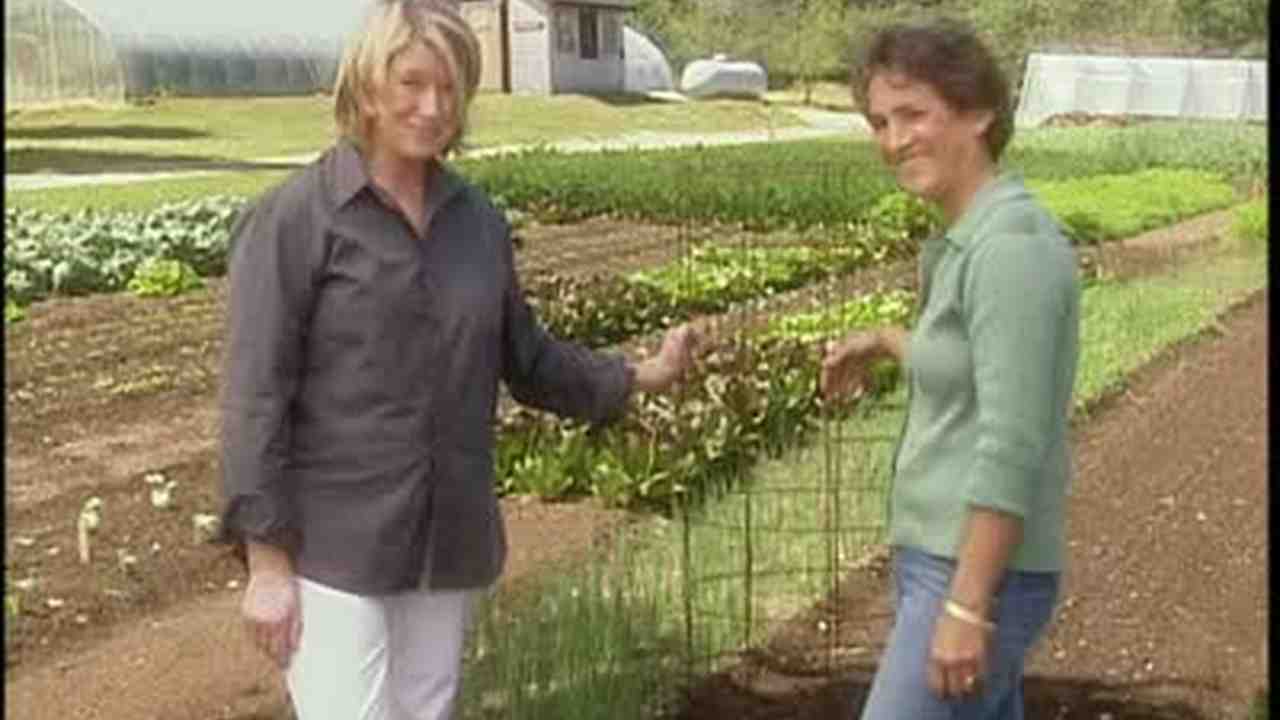 Video How To Make The Perfect Tomato Cage Martha Stewart